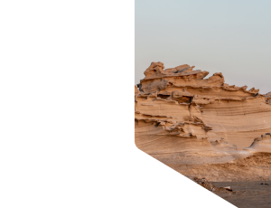 Nature_St1 (160).png