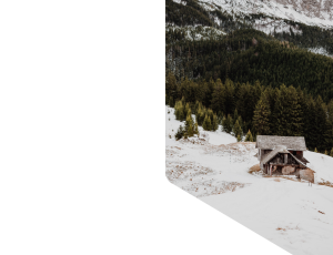 Nature_St1 (168).png