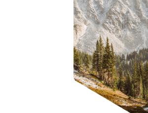 Nature_St1 (171).png