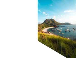 Nature_St1 (180).png