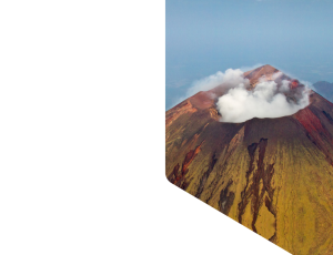 Nature_St1 (182).png