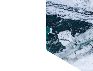Nature_St1 (191).png