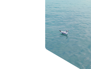 Nature_St1 (213).png