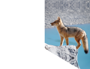 Nature_St1 (274).png