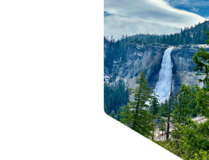 Nature_St1 (354).png