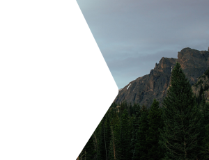 Nature_St2 (31).png