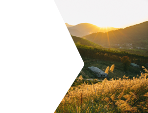Nature_St2 (40).png