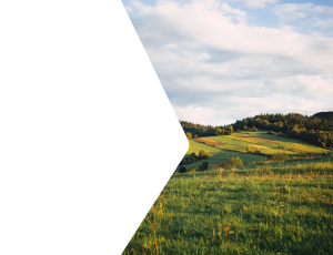 Nature_St2 (51).png