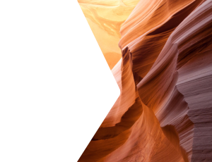 Nature_St2 (71).png