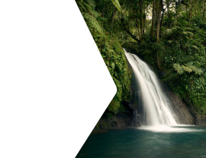 Nature_St2 (95).png