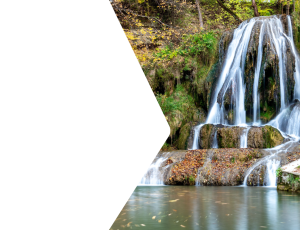 Nature_St2 (102).png