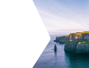 Nature_St2 (114).png