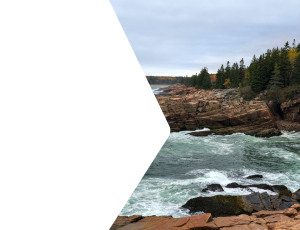 Nature_St2 (126).png