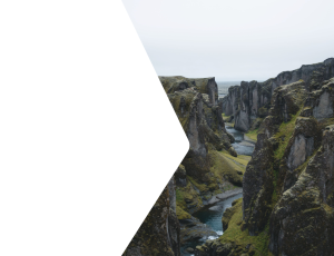 Nature_St2 (132).png