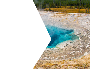 Nature_St2 (135).png