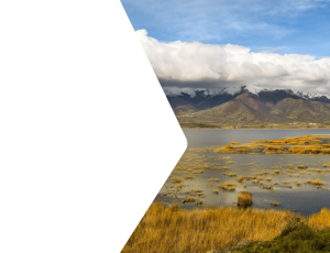 Nature_St2 (137).png