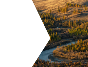 Nature_St2 (139).png