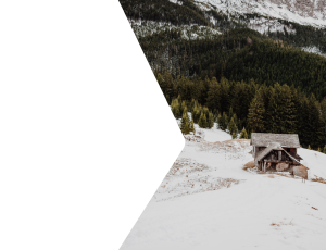 Nature_St2 (168).png