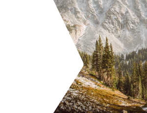 Nature_St2 (171).png
