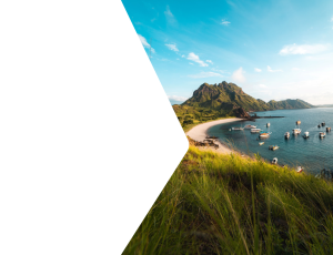 Nature_St2 (180).png