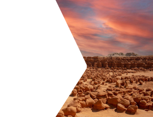 Nature_St2 (188).png